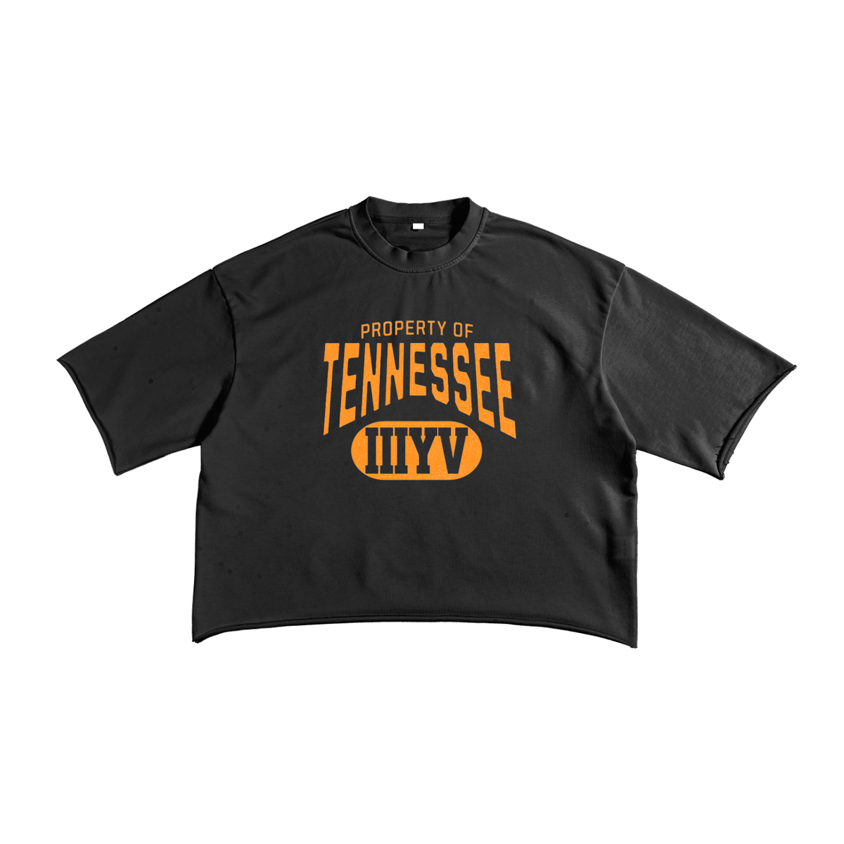 Tennessee Cropped French Terry Tee