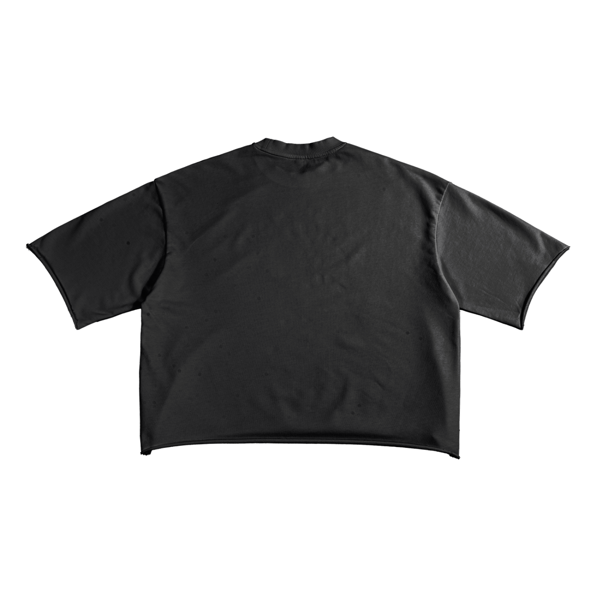 Tennessee Cropped French Terry Tee