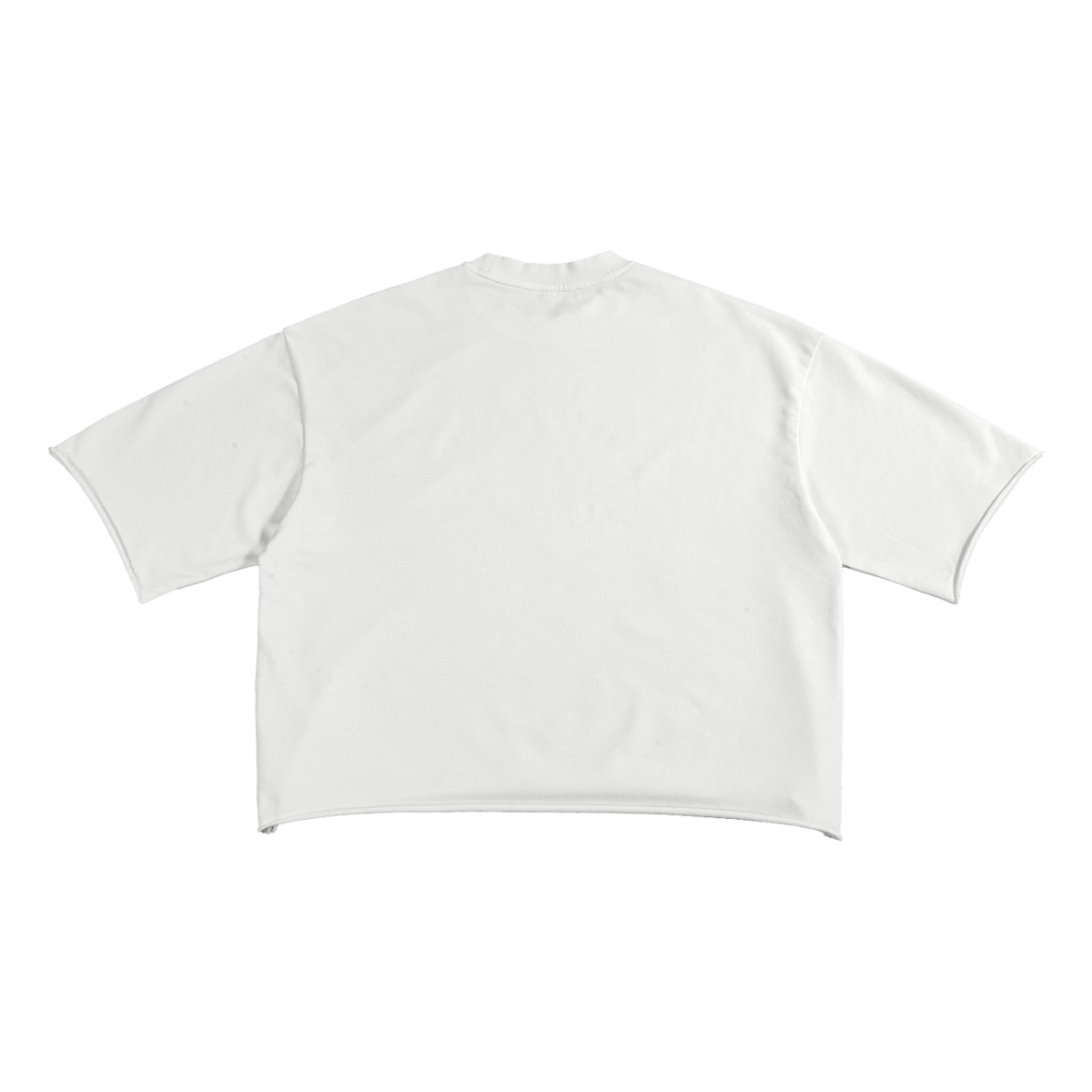 Tennessee Cropped French Terry Tee